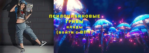МДПВ Алексин
