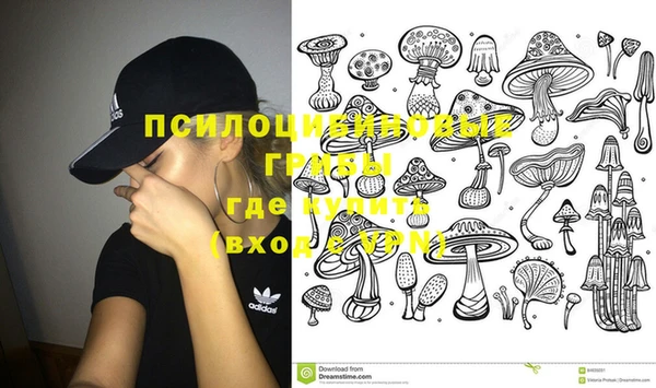 МДПВ Алексин