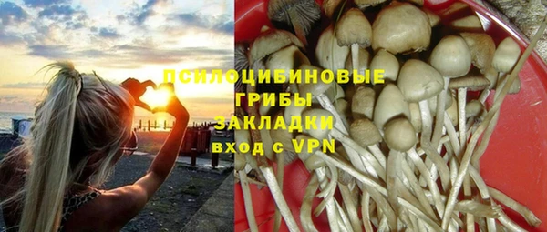 МДПВ Алексин