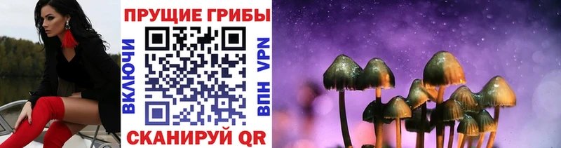 гидра ONION  Любань  Псилоцибиновые грибы MAGIC MUSHROOMS 